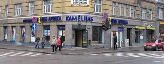 Обзор аптечного бизнеса Латвии: покупателей все меньше, а продажи растут