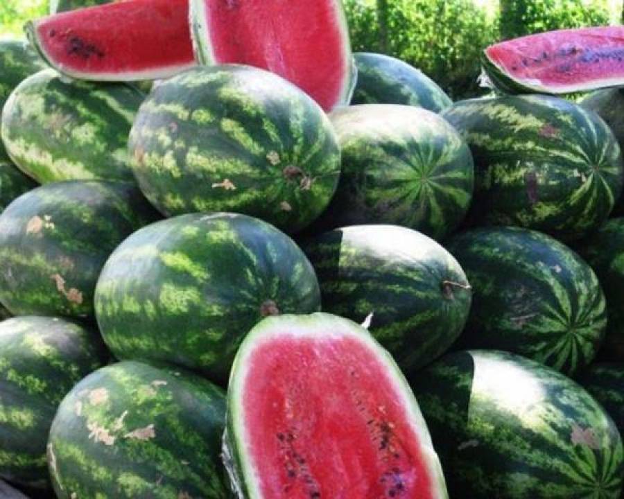 Экспорт Латвии за семь месяцев вырос на 1%