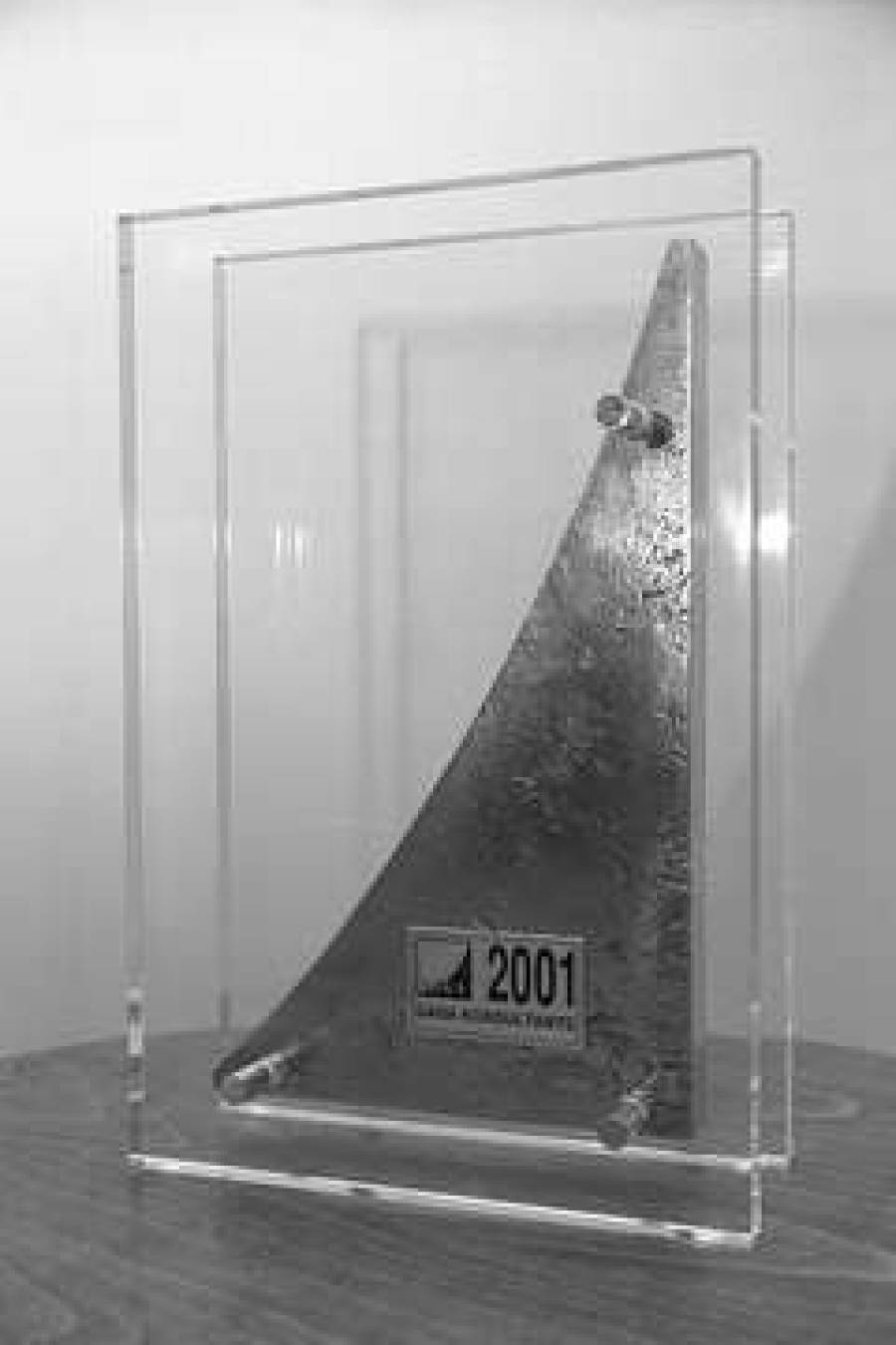  Приз, который будет вручен &quot;Консультанту года-2001&quot;, создан художни ком по металлу Латвийской академии художеств Арвидом Эндзиньшем. Теперь дело за жюри.