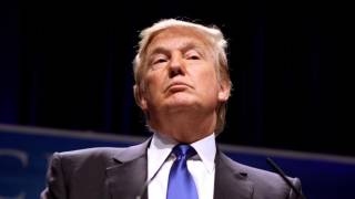 Россияне выложили 100 млн долларов, чтобы жить рядом с Трампом