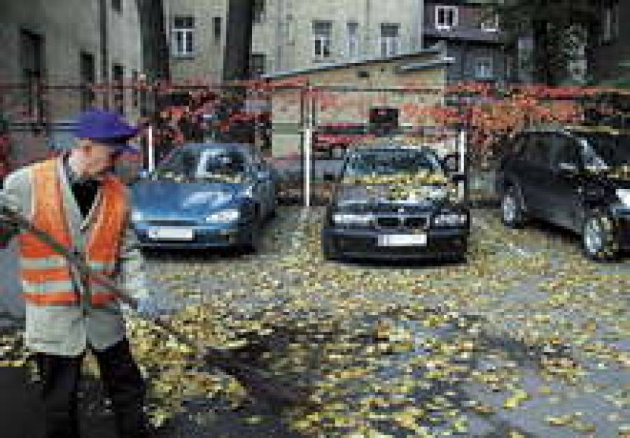 Новый закон в Сейме скорее всего примут уже ближайшей осенью.