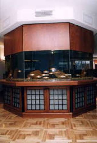 Новый японский