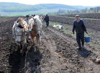 Под гул канонады западные и российские инвесторы скупают украинский чернозем