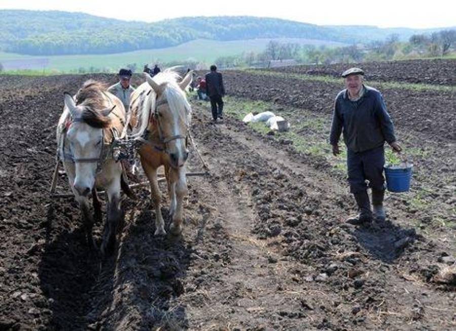 Под гул канонады западные и российские инвесторы скупают украинский чернозем
