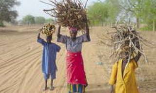 Компания Ceļu pārvalde решила бороться с бездорожьем в Гане.