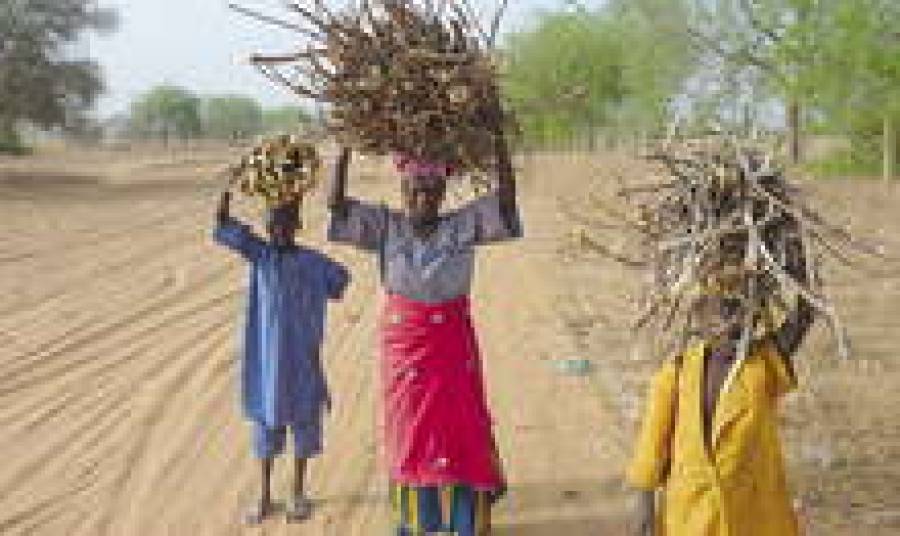 Компания Ceļu pārvalde решила бороться с бездорожьем в Гане.