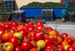 Крестьяне не знают, куда девать продукты