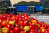 Крестьяне не знают, куда девать продукты