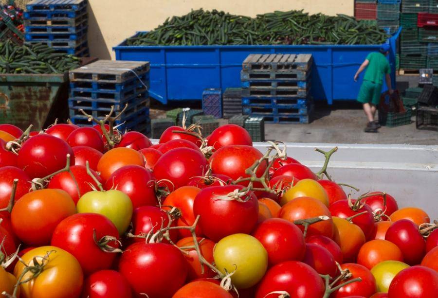 Крестьяне не знают, куда девать продукты