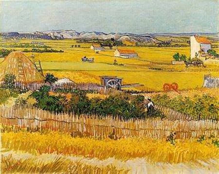 Фермеры надеются на лучший урожай, чем в прошлом году