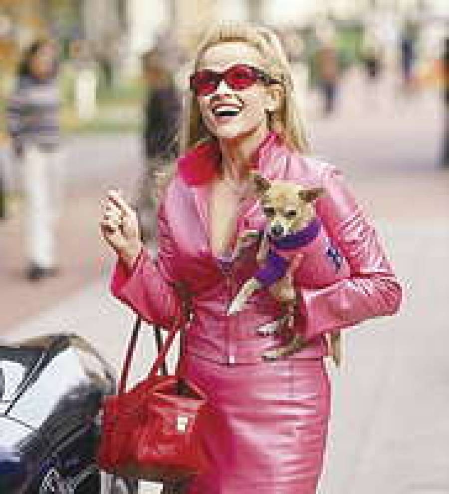 Как хорошо уметь читать!