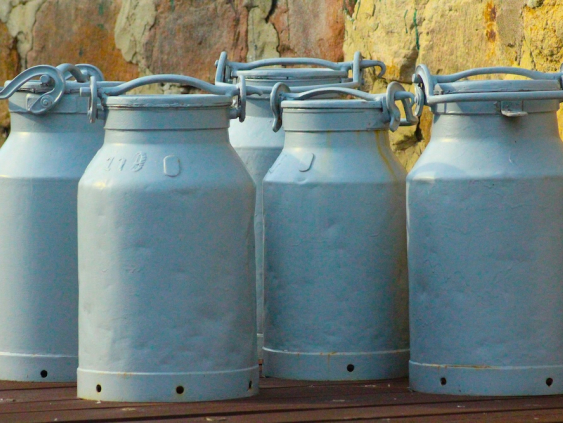 Эстонский молочный завод E-Piim задолжал миллионы латвийским фермерам