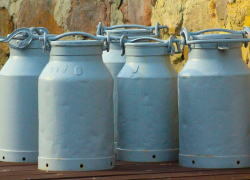 Эстонский молочный завод E-Piim задолжал миллионы латвийским фермерам