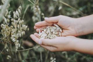Санкции ЕС не ограничивают торговлю продуктами питания