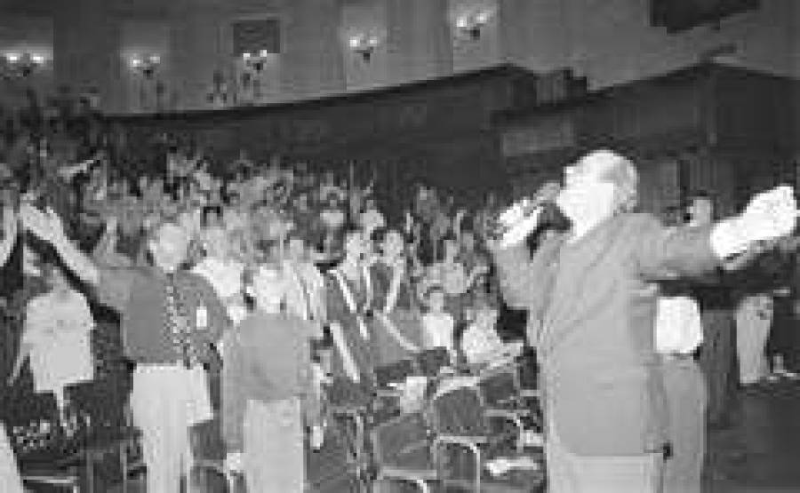 Пастыри постригли стадо