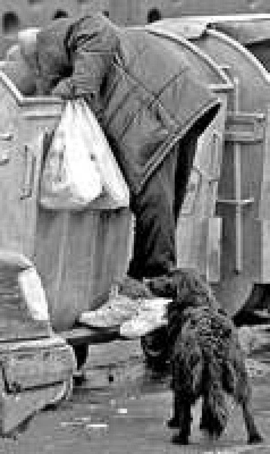 Секретные документы ЕС в мусорнике