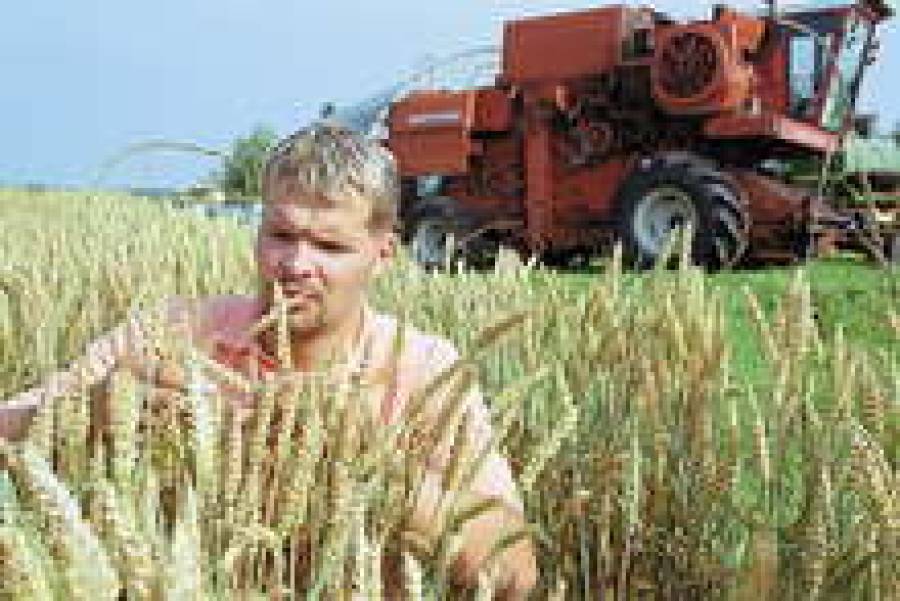 Банки удобряют почву кредитами.