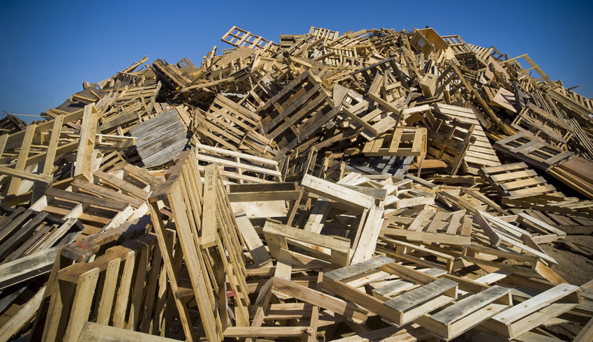 Как обеспечить дереву вторую жизнь?