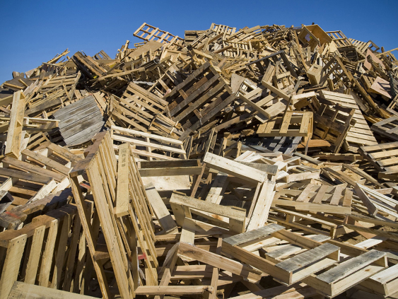 Как обеспечить дереву вторую жизнь?