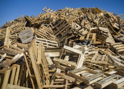 Как обеспечить дереву вторую жизнь?