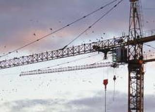 Спрос на аренду строительной техники упал почти на 60%.