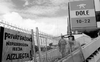 Новая жизнь Dole