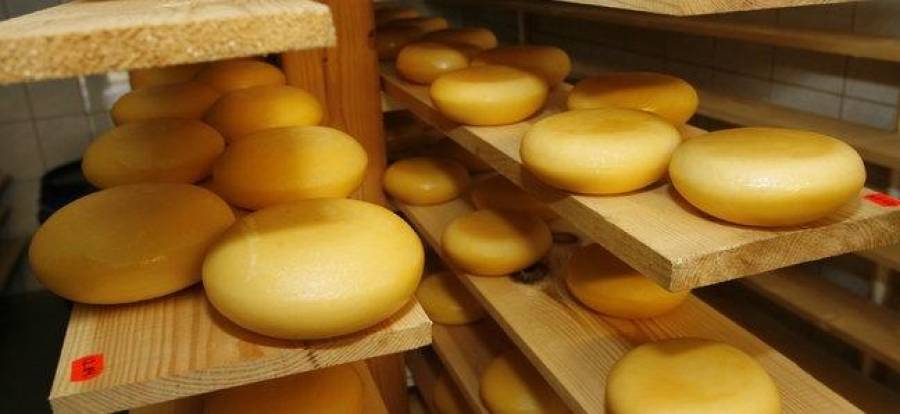 Эстонцы не знают, что делать с тоннами сыра, сваренного для России