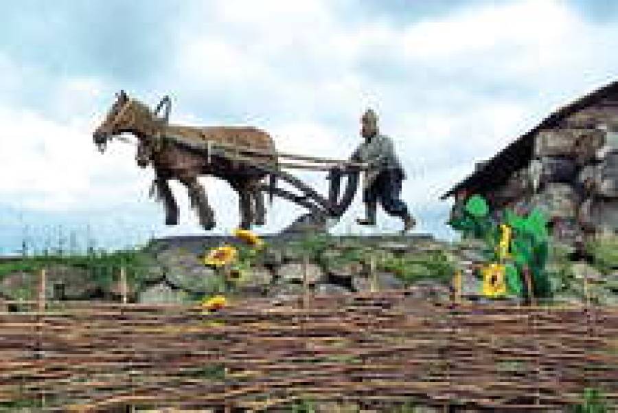 Государство хочет быть землевладельцем