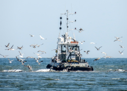 Балтика и Рижский залив под контролем: утверждены суда и правила промысла