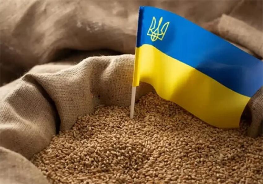 Как привлечь украинское зерно в порты Латвии — план N1 и план N2