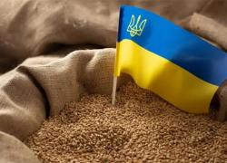 Как привлечь украинское зерно в порты Латвии — план N1 и план N2