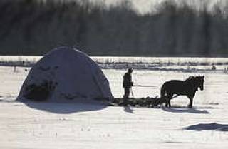 Государство оплатит недобор