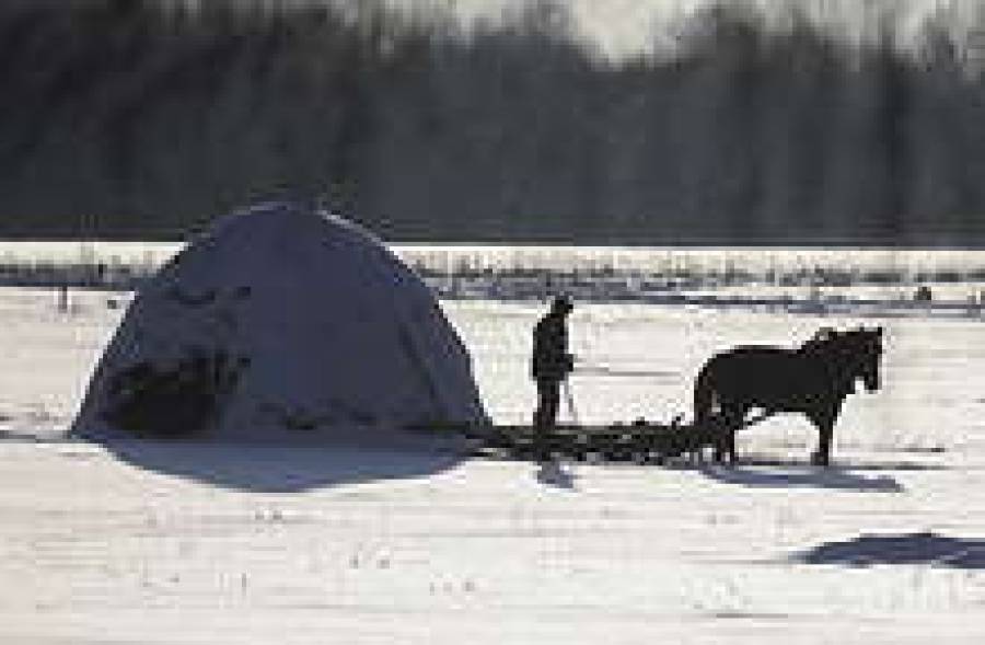 Государство оплатит недобор