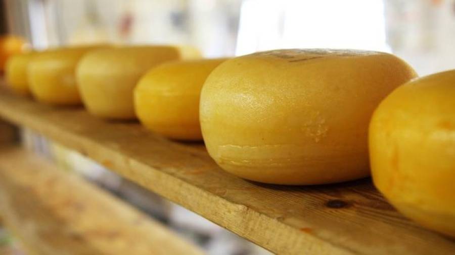 Экспорт латвийских продуктов в этом году может увеличиться на 5%