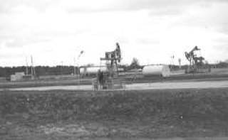  Литва свою нефть предпочитает добывать.