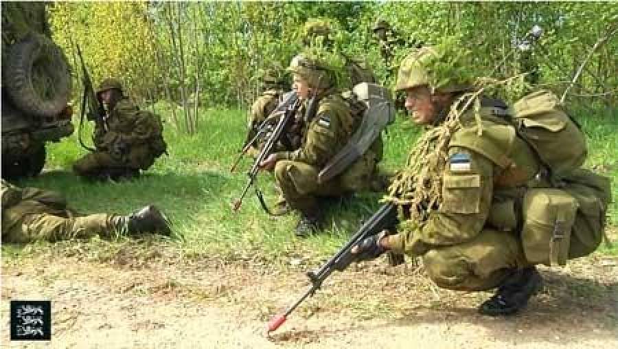 WSJ: сотни эстонцев тренируются в лесах отражать атаку с Востока