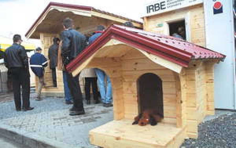 Сам себе прораб.Ригу охватил строительный бум.