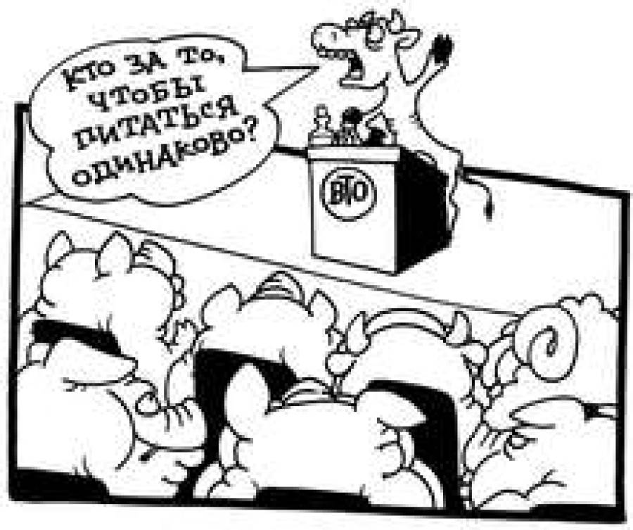 В ВТО кризис?