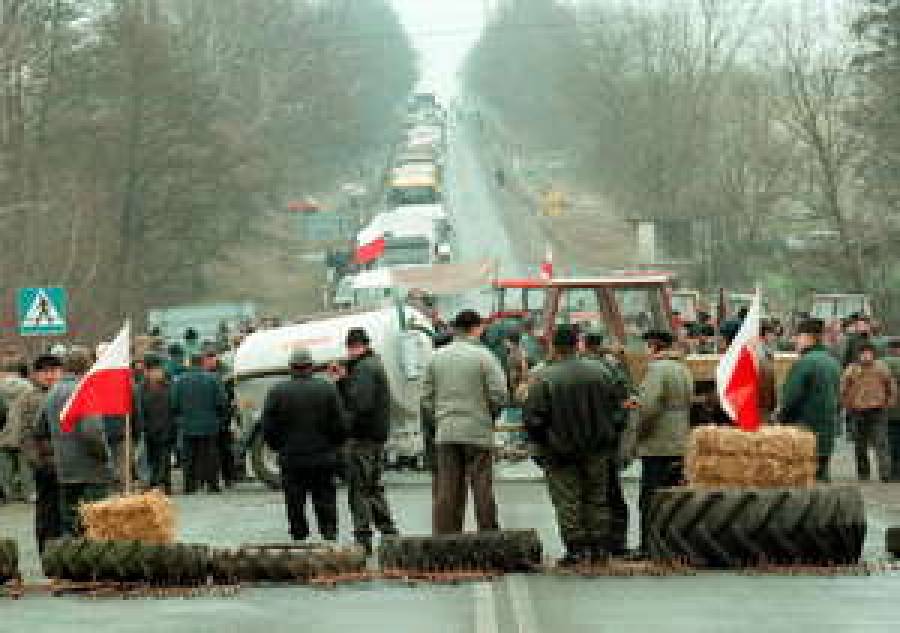 В МИРЕ