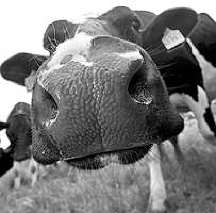 Британия считает убытки