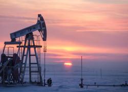 Цены на нефть упали до минимума с июля 2023 года