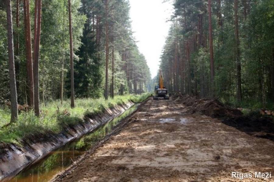 Дрон на службе у леса