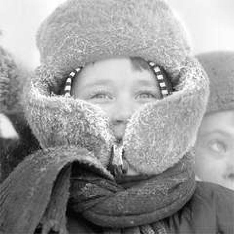 Холод - не тетка