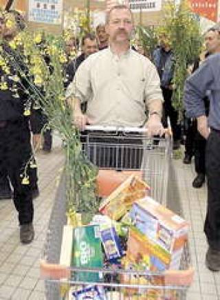 По внешнему виду ГМ-продукты (на снимке) не отличишь от обычных.