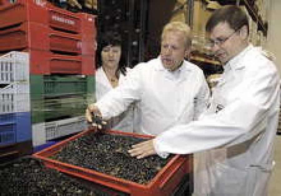 Пищевая отрасль попала в список приоритетных после визита премьера на предприятие Pure food.