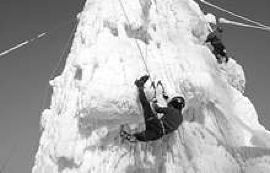 Руководство намерено запретить топ-менеджерам выполнять подобные трюки.