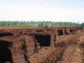 Наш торф — полям для гольфа в ОАЭ