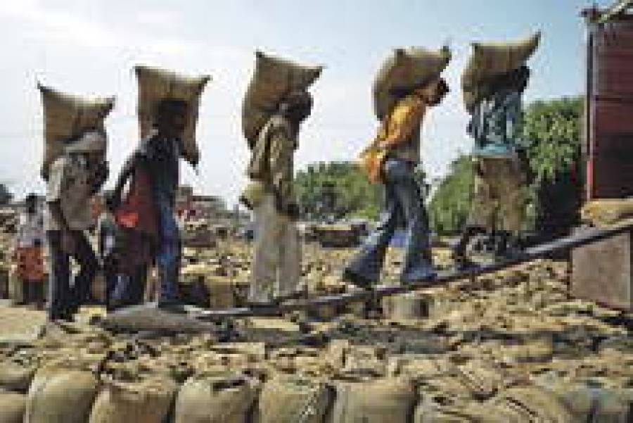 Иран оптом скупил уже четверть латвийской пшеницы. И это только начало