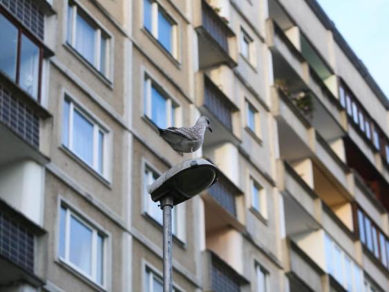 Рижская дума расторгнет договоры аренды для 3000 муниципальных квартир