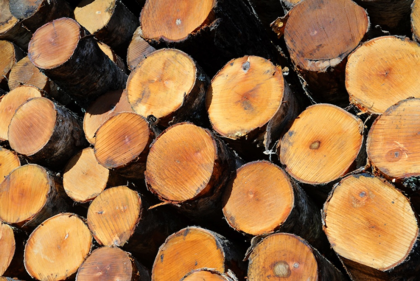 Экспорт продукции лесной отрасли в январе уменьшился